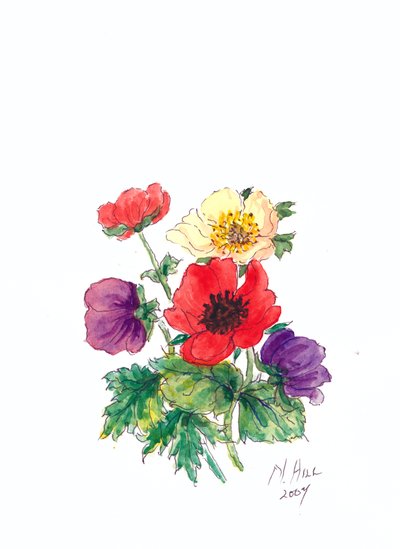Anemoni da Nell Hill